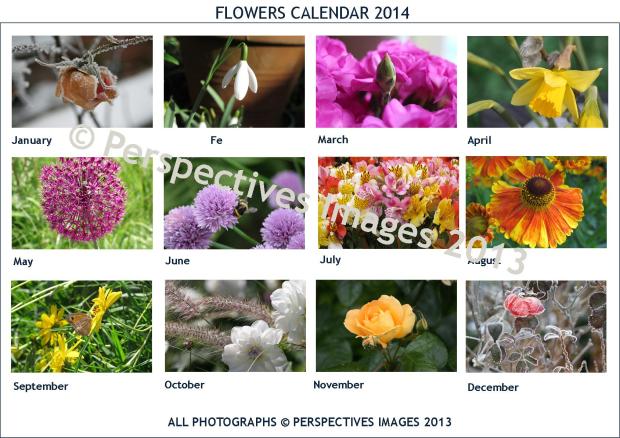 Flowers 2014 WM